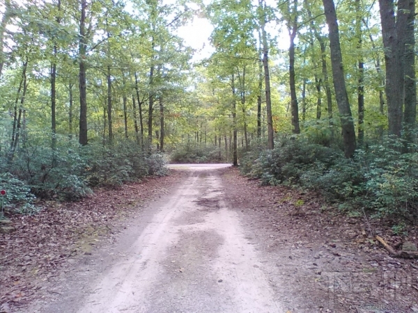 35美元的Firefox OS手机:还有更糟糕的手机吗?