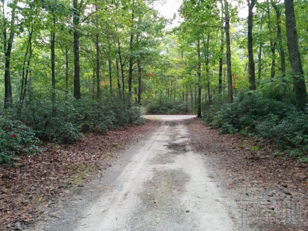 35美元的Firefox OS手机:还有更糟糕的手机吗?