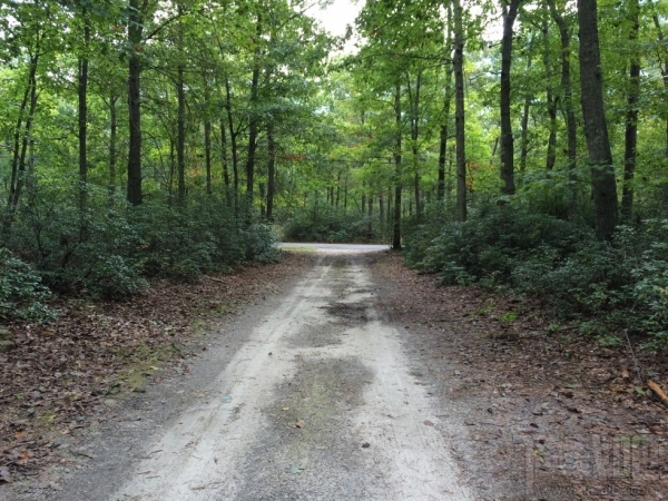 35美元的Firefox OS手机:还有更糟糕的手机吗?