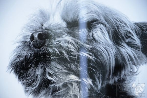 就是那么震撼:全新iMac多图绝美上手印象