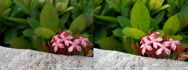 鹿死谁手?魅族 MX4 VS 小米 4 拍摄横评