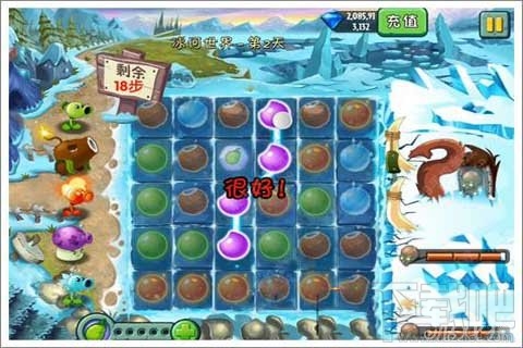 植物迷阵第2天支线攻略,植物大战僵尸2植物迷阵第2天支线玩法