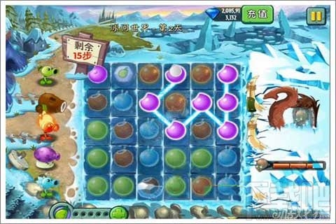 植物迷阵第2天支线攻略,植物大战僵尸2植物迷阵第2天支线玩法