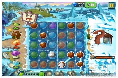 植物迷阵第2天支线攻略,植物大战僵尸2植物迷阵第2天支线玩法