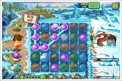 植物迷阵第2天支线攻略,植物大战僵尸2植物迷阵第2天支线玩法