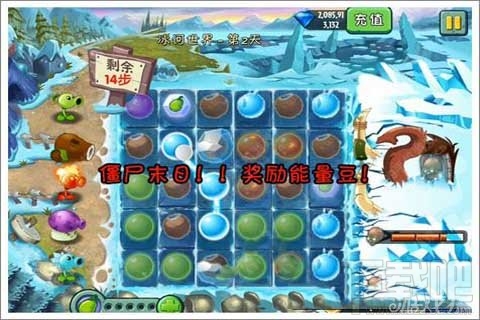 植物迷阵第2天支线攻略,植物大战僵尸2植物迷阵第2天支线玩法