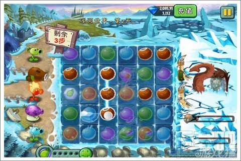 植物迷阵第2天支线攻略,植物大战僵尸2植物迷阵第2天支线玩法