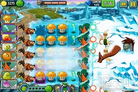 冰河世界第25天攻略心得,植物大战僵尸2冰河世界第25天阵型分析