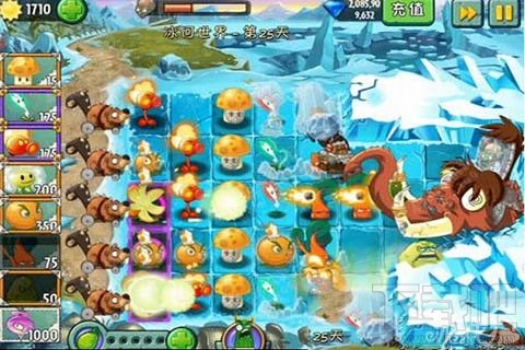 冰河世界第25天攻略心得,植物大战僵尸2冰河世界第25天阵型分析