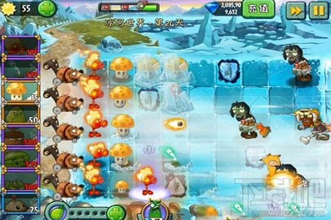 冰河世界第24天攻略,植物大战僵尸2冰河世界第24天通关技巧