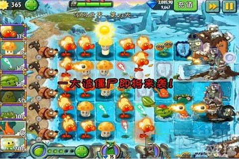 冰河世界第23天攻略,植物大战僵尸2冰河世界第23天通关技巧
