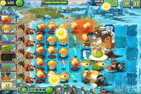 冰河世界第23天攻略,植物大战僵尸2冰河世界第23天通关技巧