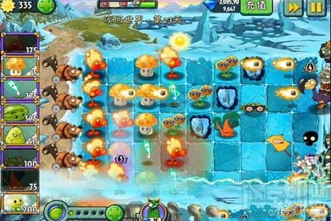 冰河世界第23天攻略,植物大战僵尸2冰河世界第23天通关技巧