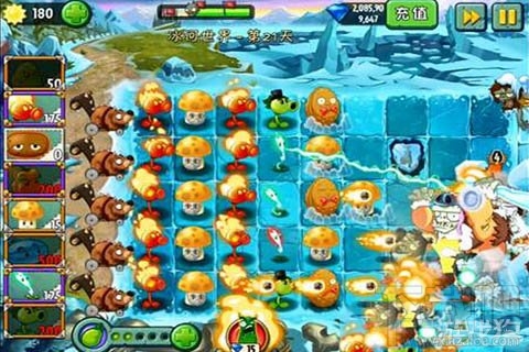 冰河世界第21天攻略,植物大战僵尸2冰河世界第21天图文技巧