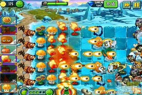 冰河世界第19天攻略,植物大战僵尸2冰河世界第19天过关心得