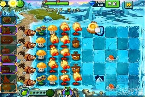 冰河世界第19天攻略,植物大战僵尸2冰河世界第19天过关心得