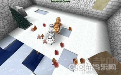 《生存战争》生物介绍:老虎