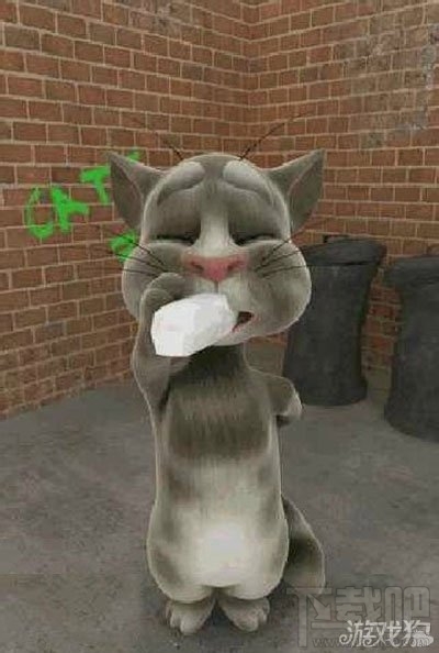 会说话的汤姆猫角色成主导享受内容表达差异