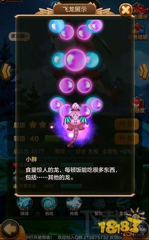 驯龙战机3D肉盾飞龙全面盘点