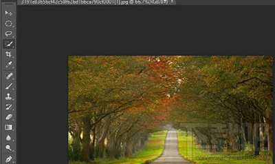 photoshop CC怎么快速反选?ps反选快捷键
