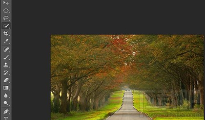 photoshop CC怎么快速反选?ps反选快捷键