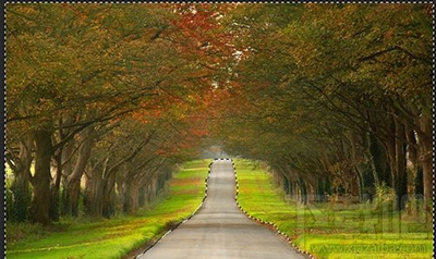 photoshop CC怎么快速反选?ps反选快捷键