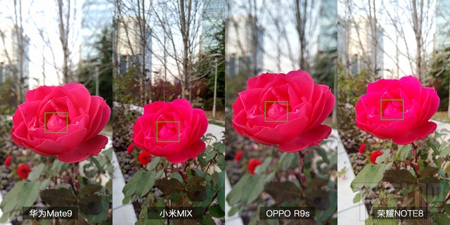 华为Mate9和小米MIX/OPPOR9s/荣耀note8拍照对比:哪款拍照效果好?