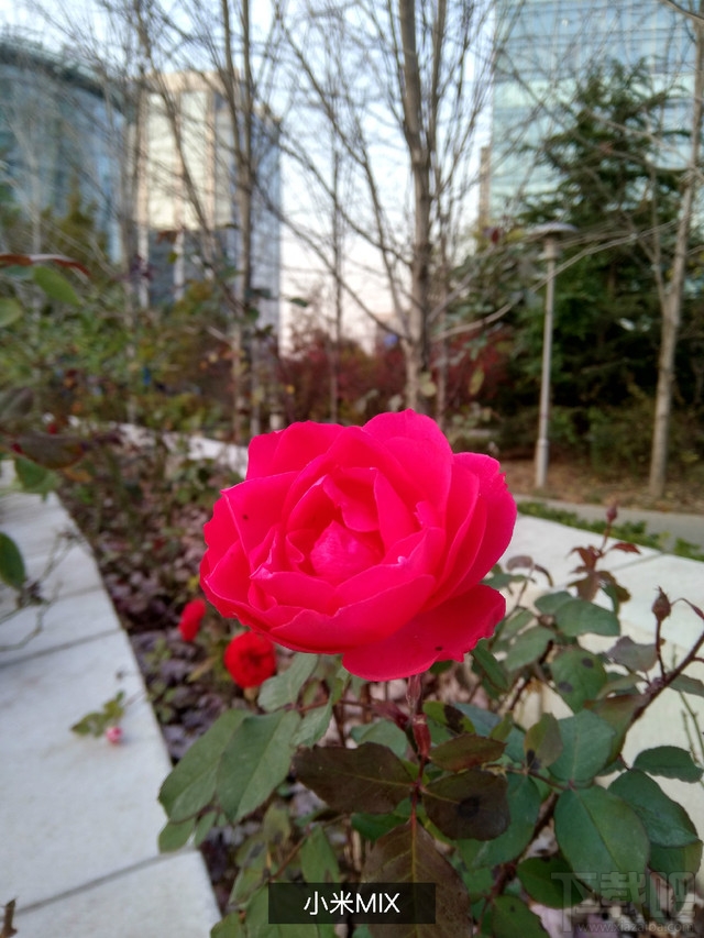 华为Mate9和小米MIX/OPPOR9s/荣耀note8拍照对比:哪款拍照效果好?