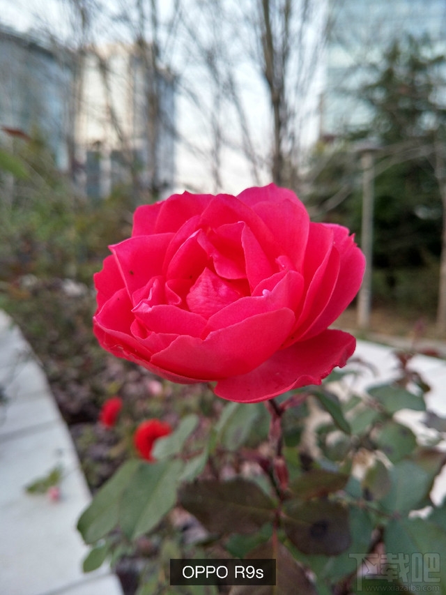 华为Mate9和小米MIX/OPPOR9s/荣耀note8拍照对比:哪款拍照效果好?