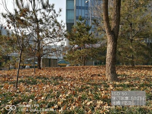 华为Mate9Pro和华为P9哪个拍照效果好？华为Mate9Pro和华为P9拍照对比评测