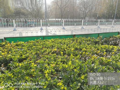 华为Mate9Pro和华为P9哪个拍照效果好？华为Mate9Pro和华为P9拍照对比评测