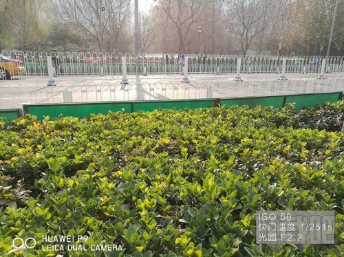 华为Mate9Pro和华为P9哪个拍照效果好？华为Mate9Pro和华为P9拍照对比评测