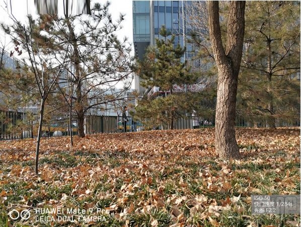 华为Mate9Pro和华为P9哪个拍照效果好？华为Mate9Pro和华为P9拍照对比评测