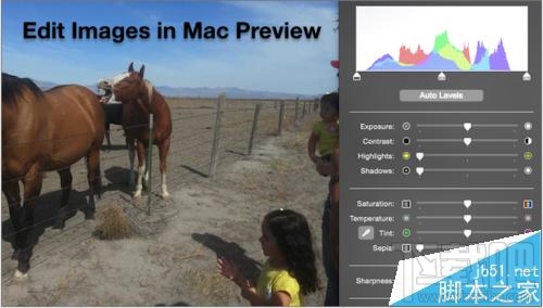 mac系统怎么修改预览图片颜色?