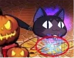 崩坏学园2量子小猫F2F实战测评