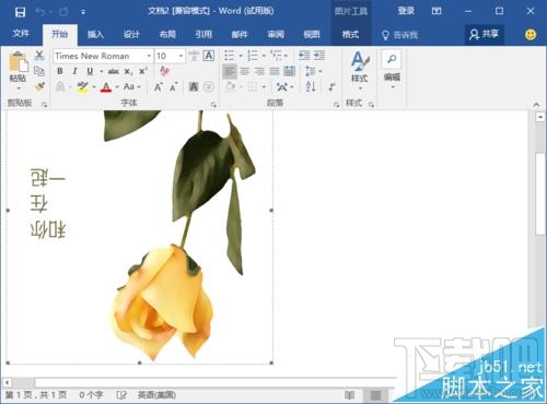 Word2016画精美卡片怎么操作