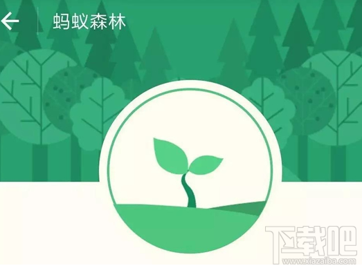 小米手环步数怎么同步到支付宝?