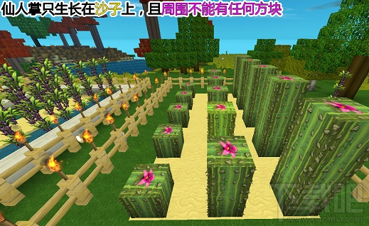 迷你世界仙人掌有用吗?迷你世界仙人掌获取攻略
