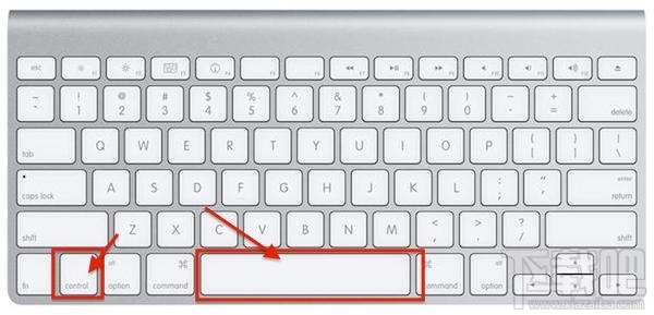 macOS怎么强制退出应用程序?macOS强制退出应用程序方法教程