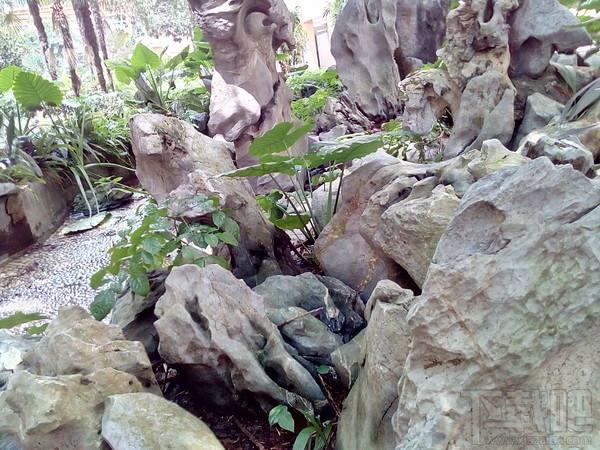 荣耀畅玩6手机评测:599元玩转柔光自拍!