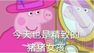 精致的猪猪女孩是什么梗?精致的猪猪女孩出处是什么?