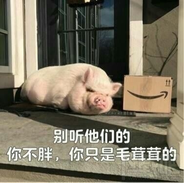 精致的猪猪女孩是什么梗?精致的猪猪女孩出处是什么?