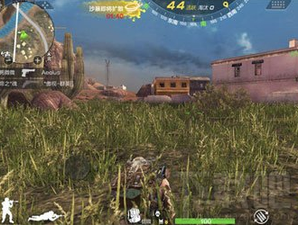 荒岛特训怎么玩?荒岛特训玩法攻略