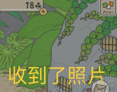 旅行青蛙旅行归来是怎么样的?图文攻略