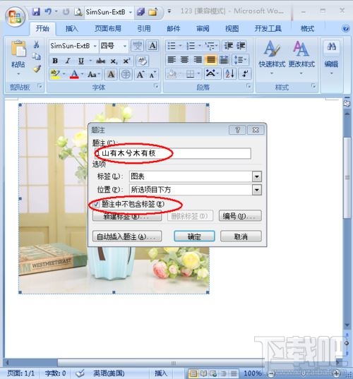 Word图片怎么添加注释?