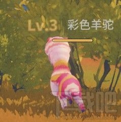 波西亚时光怪物掉落物品都有哪些