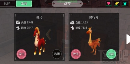 创造与魔法坐骑宠物怎么喂养?坐骑宠物饲料大全