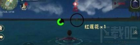 创造与魔法红莲花蓝莲花怎么获得?创造与魔法莲花获得攻略