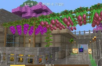 奶块怎么种植百香果?