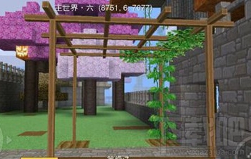 奶块怎么种植百香果?